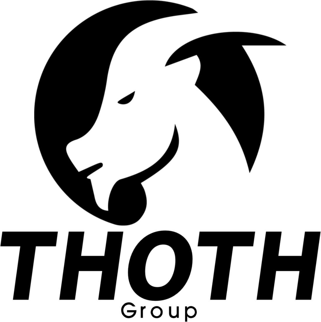 THOTH GROUP